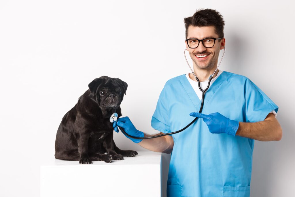 Veterinary Healthcare Plan